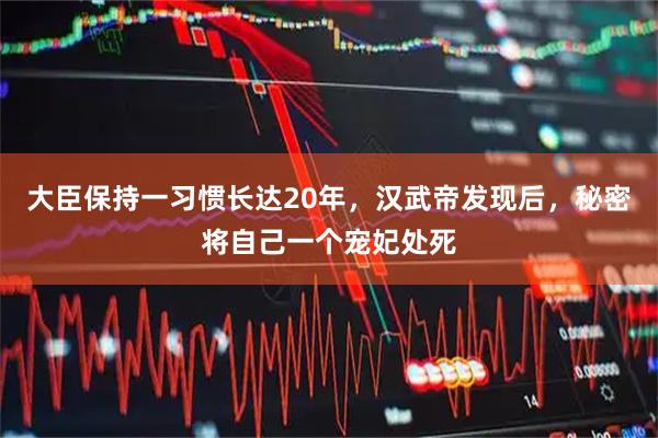 大臣保持一习惯长达20年，汉武帝发现后，秘密将自己一个宠妃处死